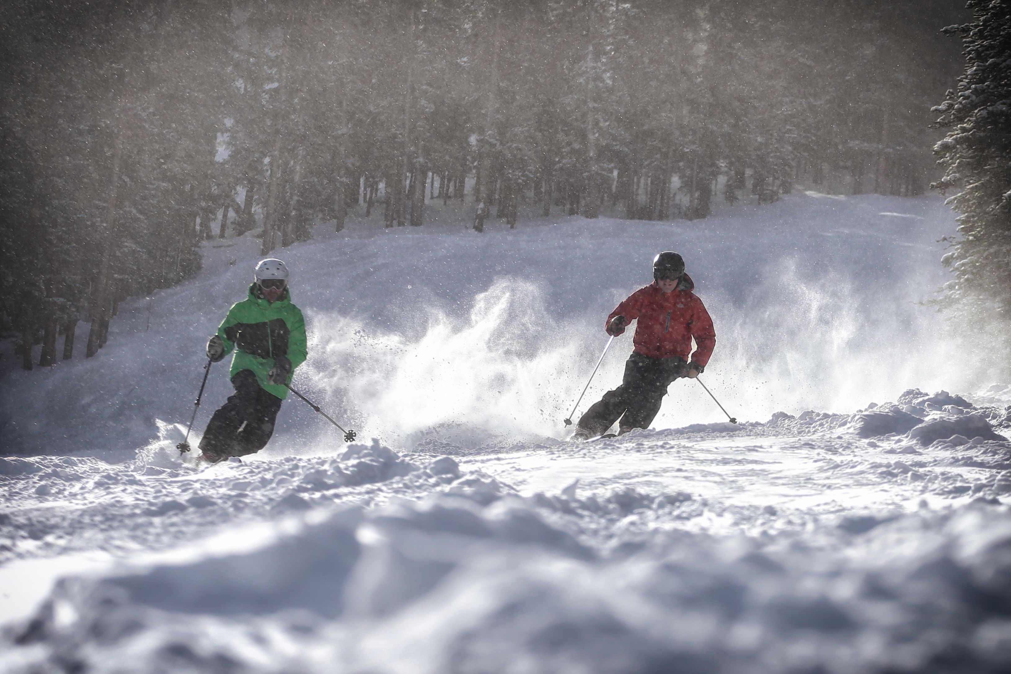 Two skiers on a snowy slope.