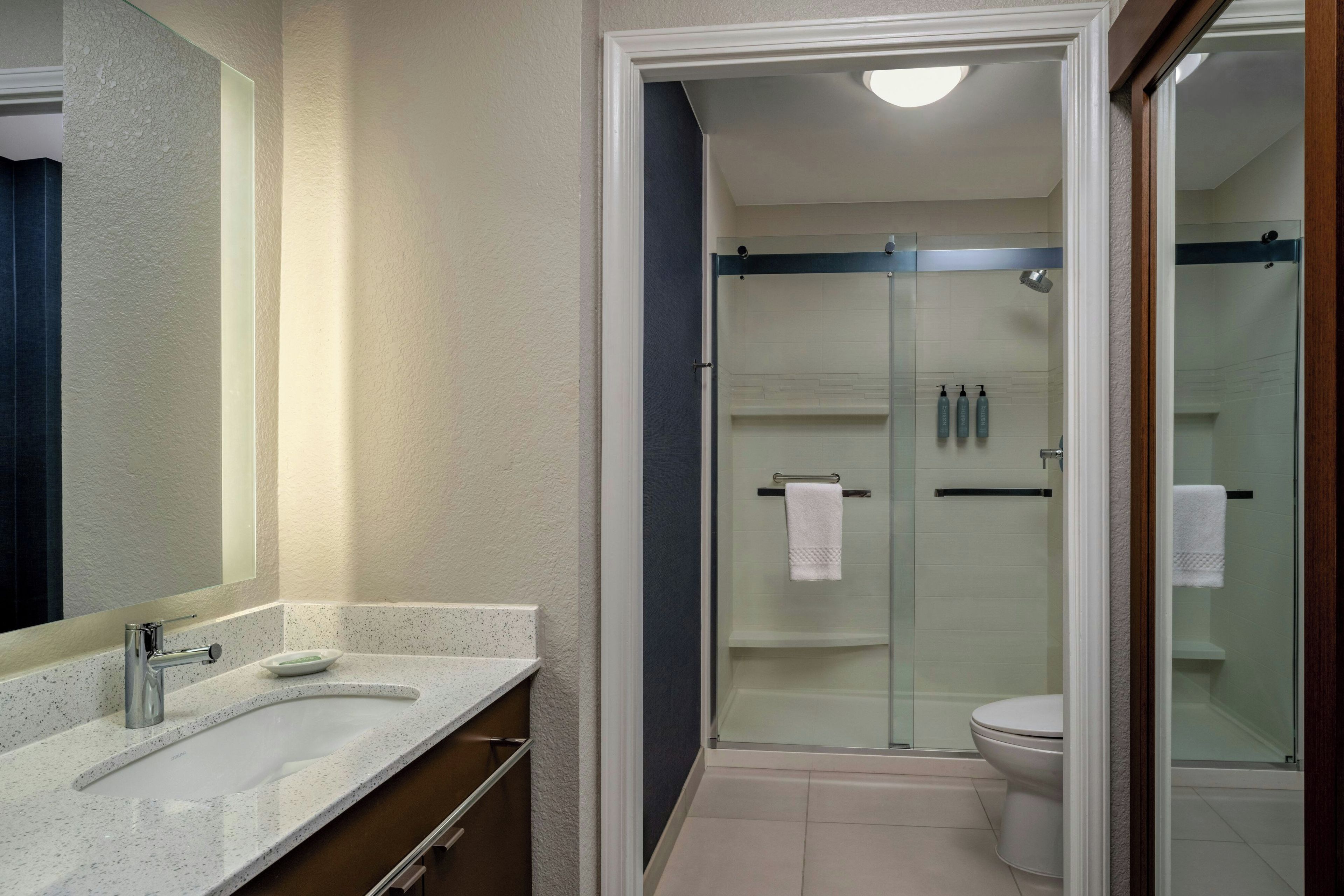 Une salle de bain moderne avec une douche à parois de verre, un meuble-lavabo à deux vasques et des toilettes.