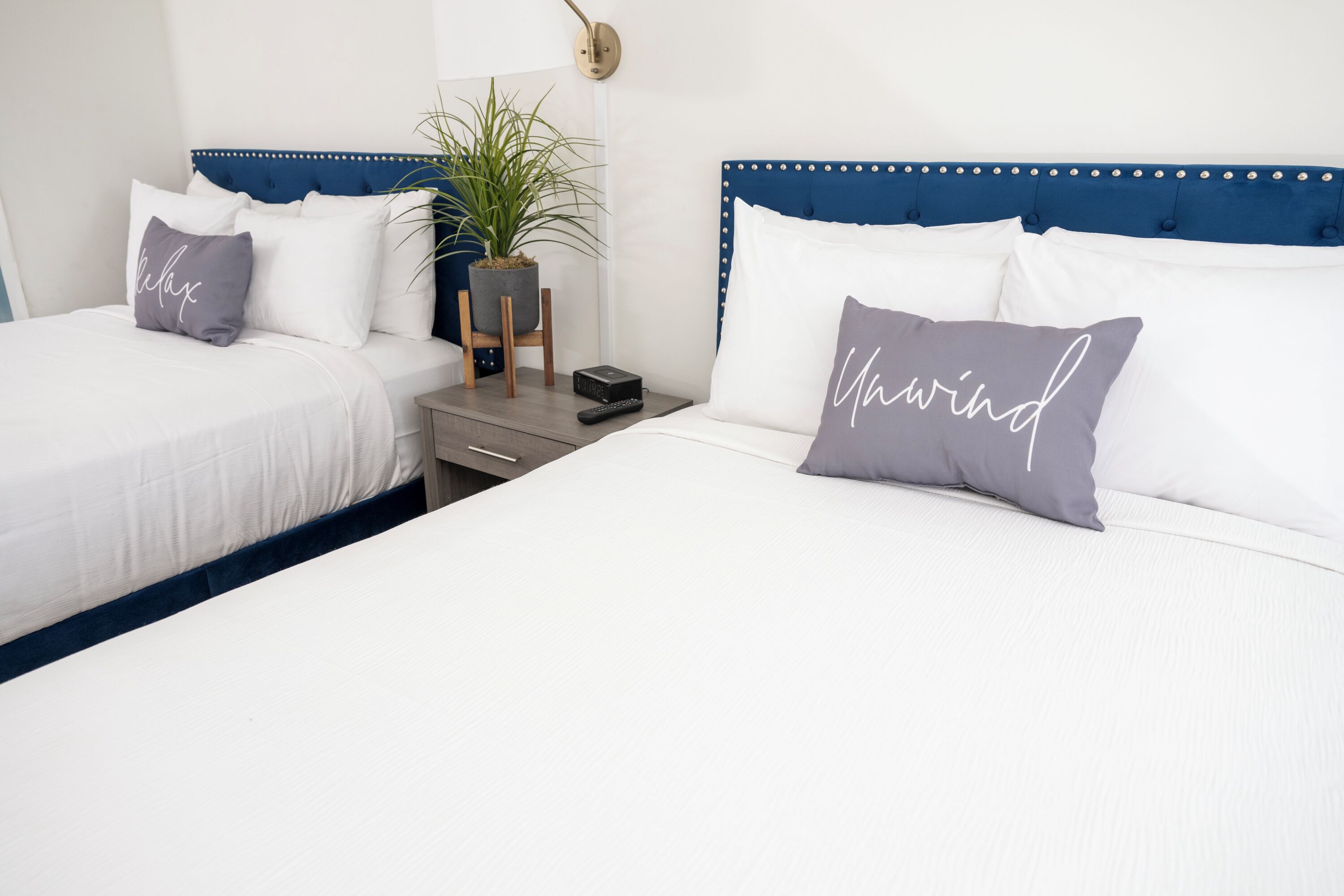 Une chambre d’hôtel avec deux lits, une table de chevet, une plante et un luminaire fixé au mur.