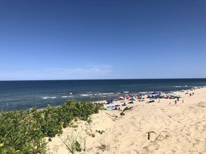 Beach - Endless Dunes, A Modern Motel (Eastham)
