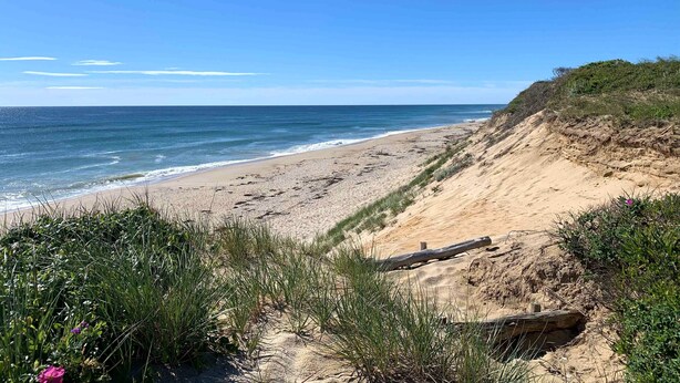 A beach with a sandy shore and a grassy cliff. - Endless Dunes, A Modern Motel (Eastham)