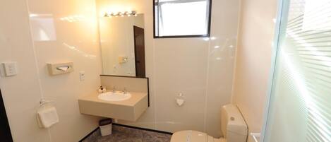 A bathroom with a sink, mirror, toilet, and a window.