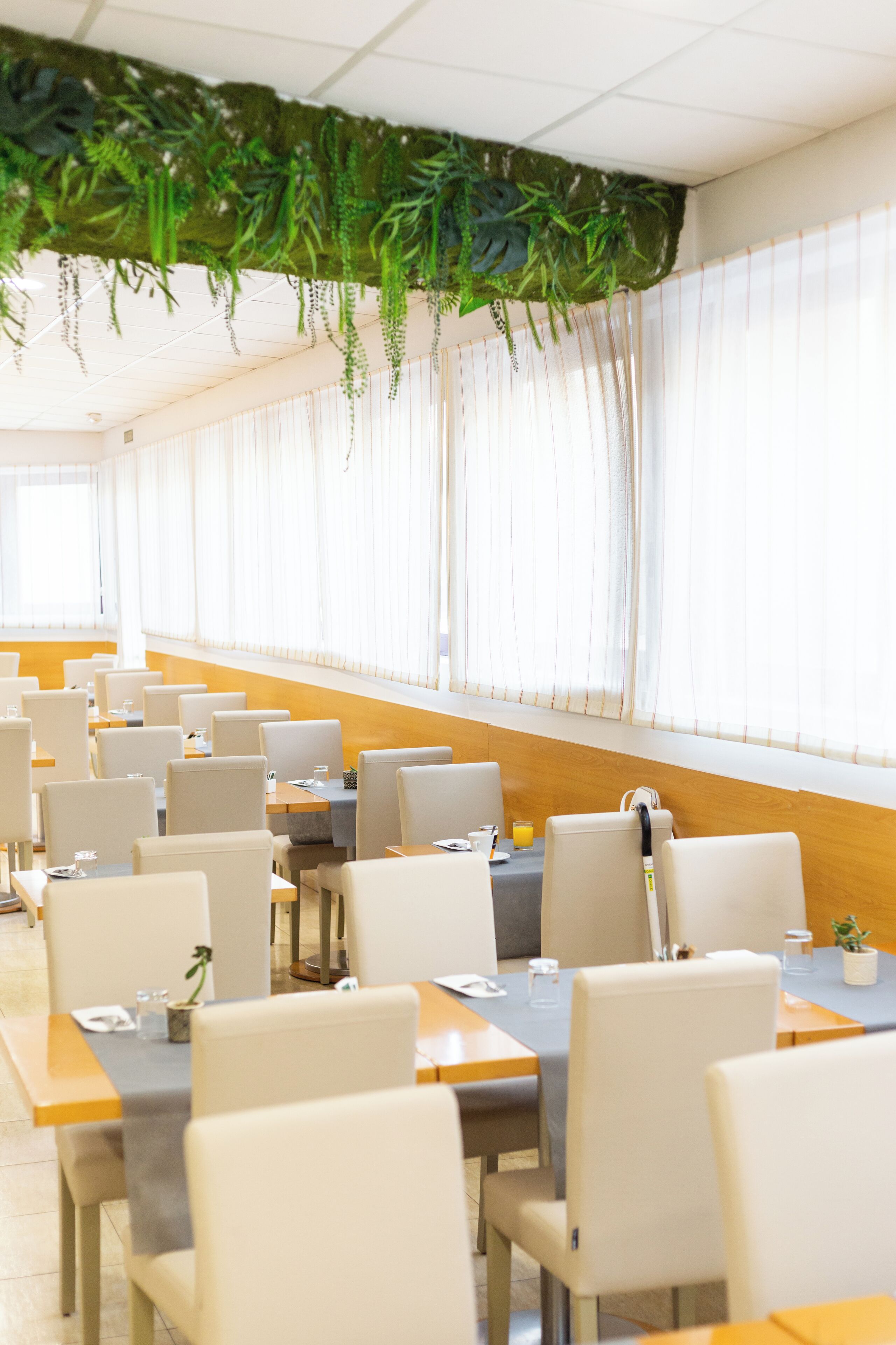 Un comedor con mesas y sillas, una barra alargada y plantas colgantes.