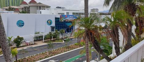 A hotel with a large aquarium sign, a road with a bike lane, and palm trees.