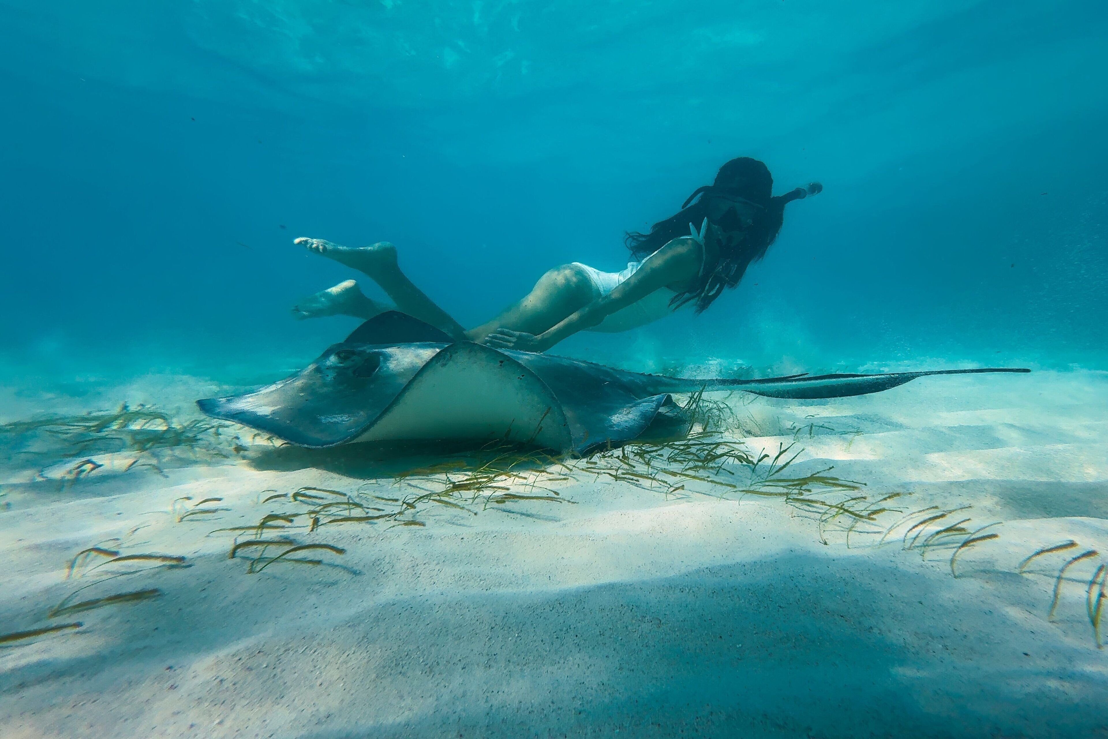 A person swimming underwater near a stingray on a sandy seabed with seaweed.