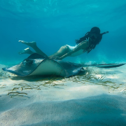 A person swimming underwater near a stingray on a sandy seabed with seaweed.