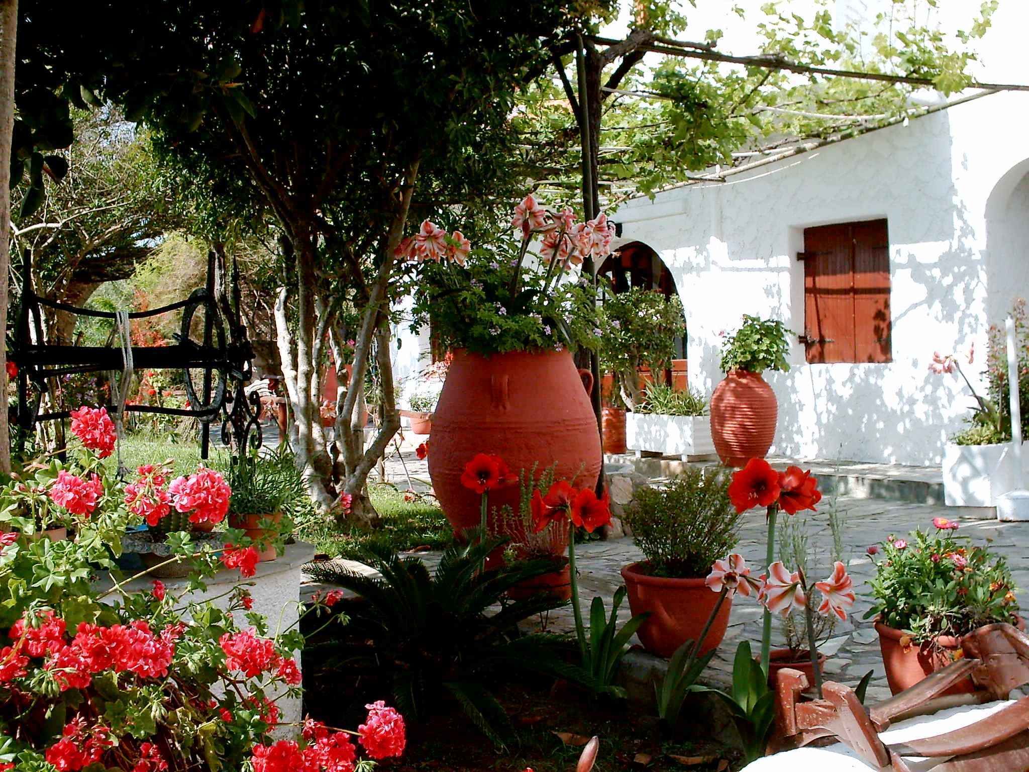 Un cortile con piante e fiori in vaso, un edificio bianco con una porta rossa e una recinzione in legno.