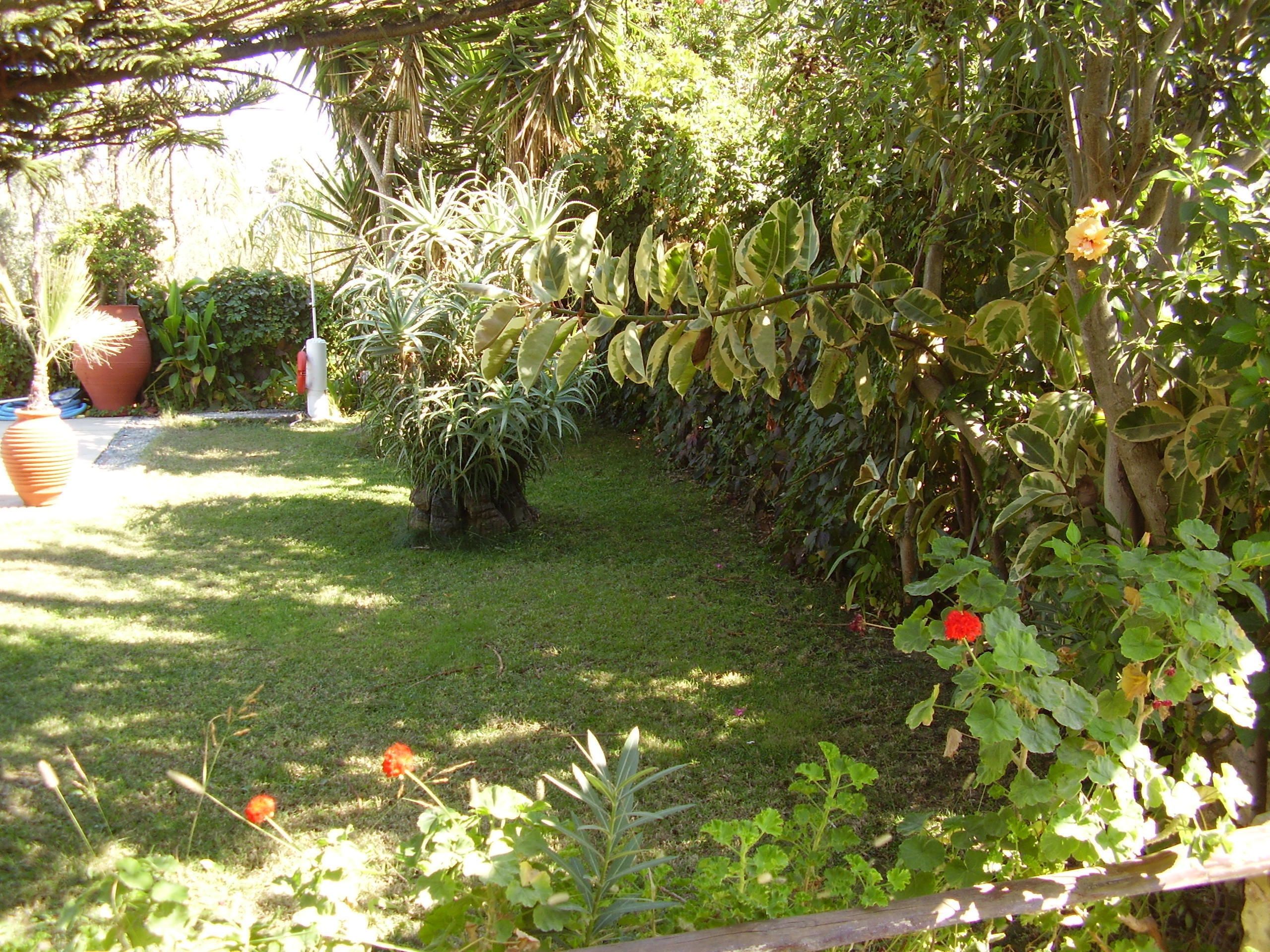 Un jardín con diferentes plantas y una cerca de madera.