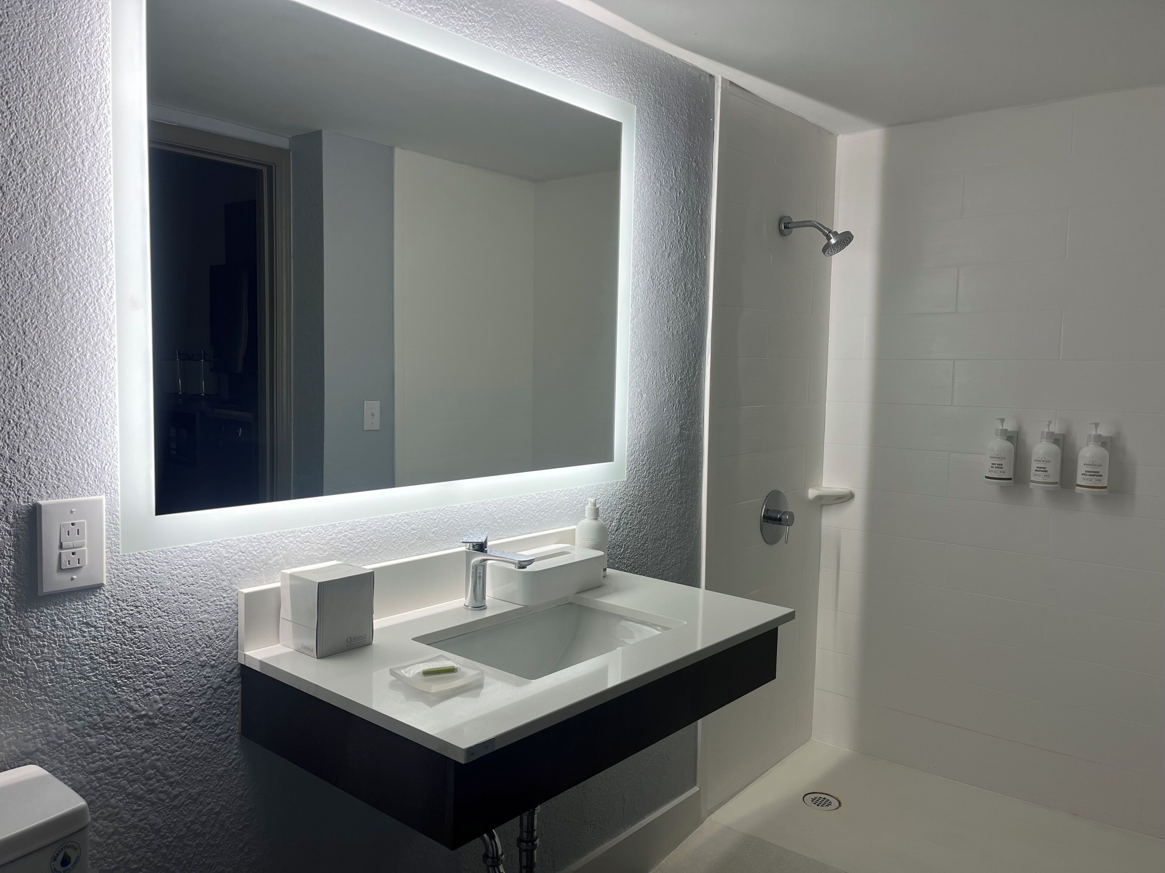 Room, 1 Queen Bed, Accessible, Non Smoking (Mobility, Roll-In Shower) | Bathroom | Combined shower/bathtub, towels