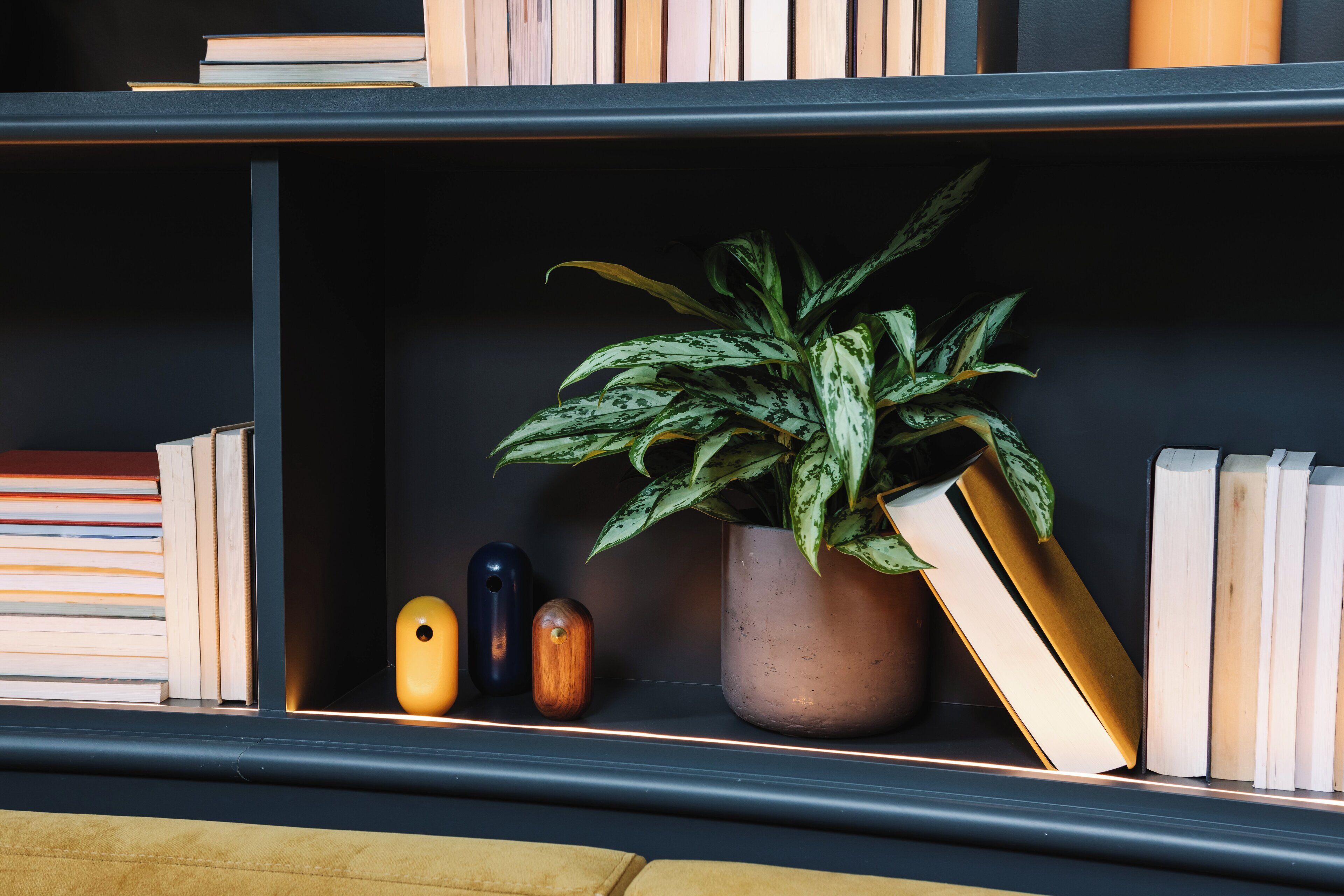 A bookshelf with books, a potted plant, and decorative vases.