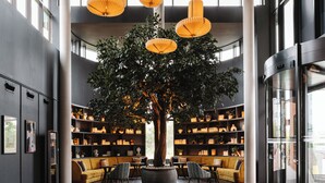 A modern lobby with a large tree, bookshelves, seating, and a glass elevator. - voco Belfast by IHG (Belfast)