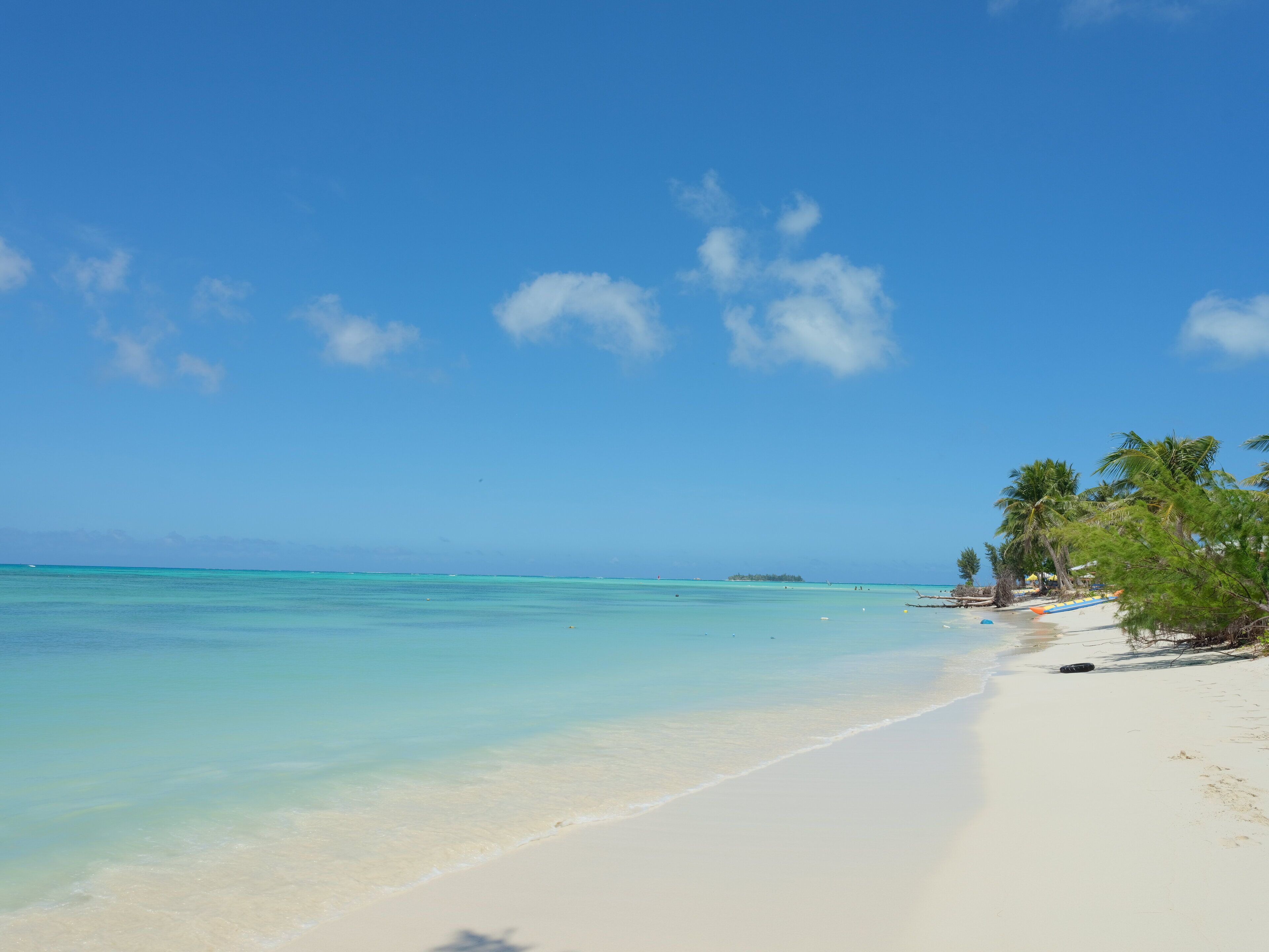 A beach with clear turquoise water, a sandy shore, and palm trees.