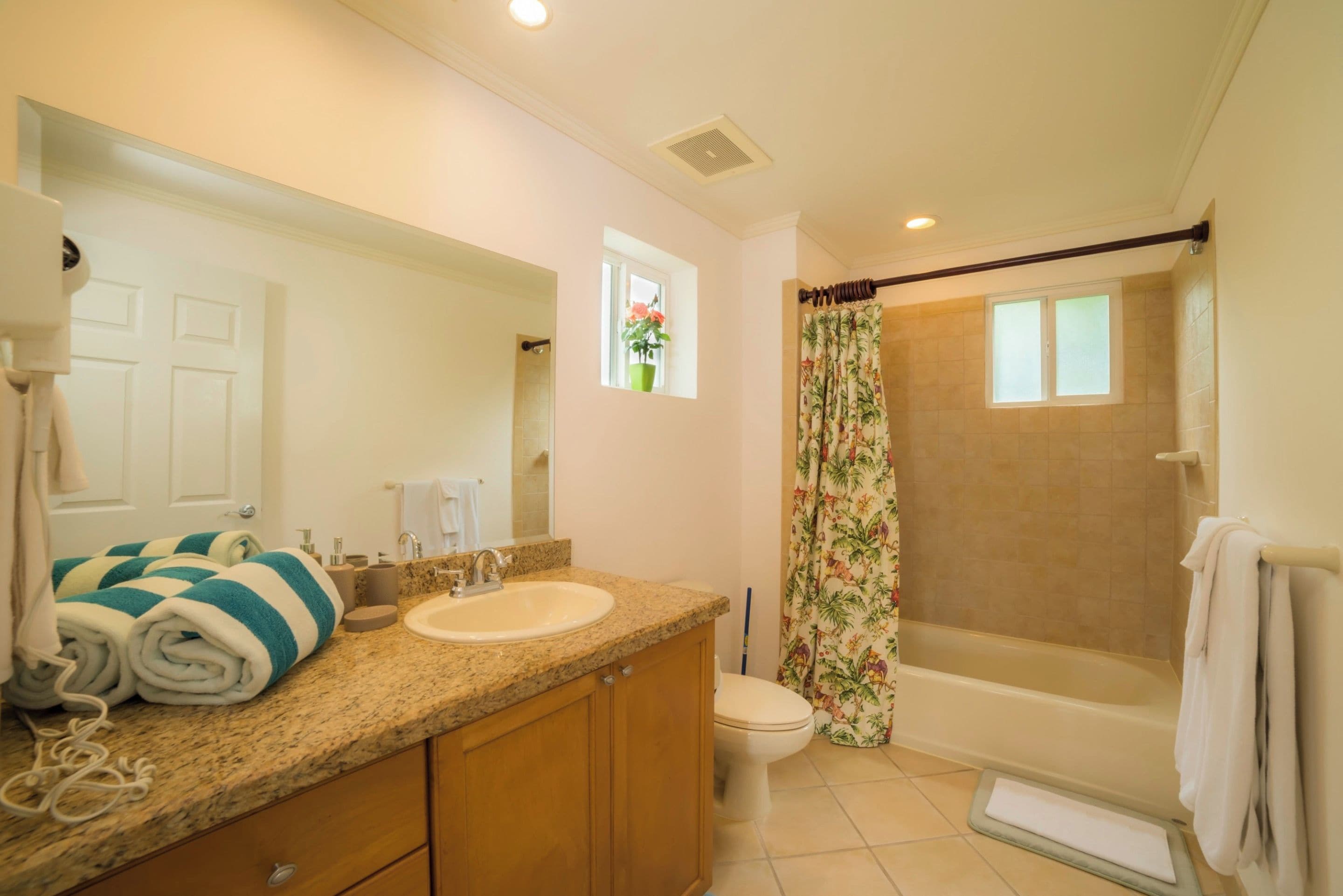 Une salle de bain avec un lavabo, des toilettes et une douche.