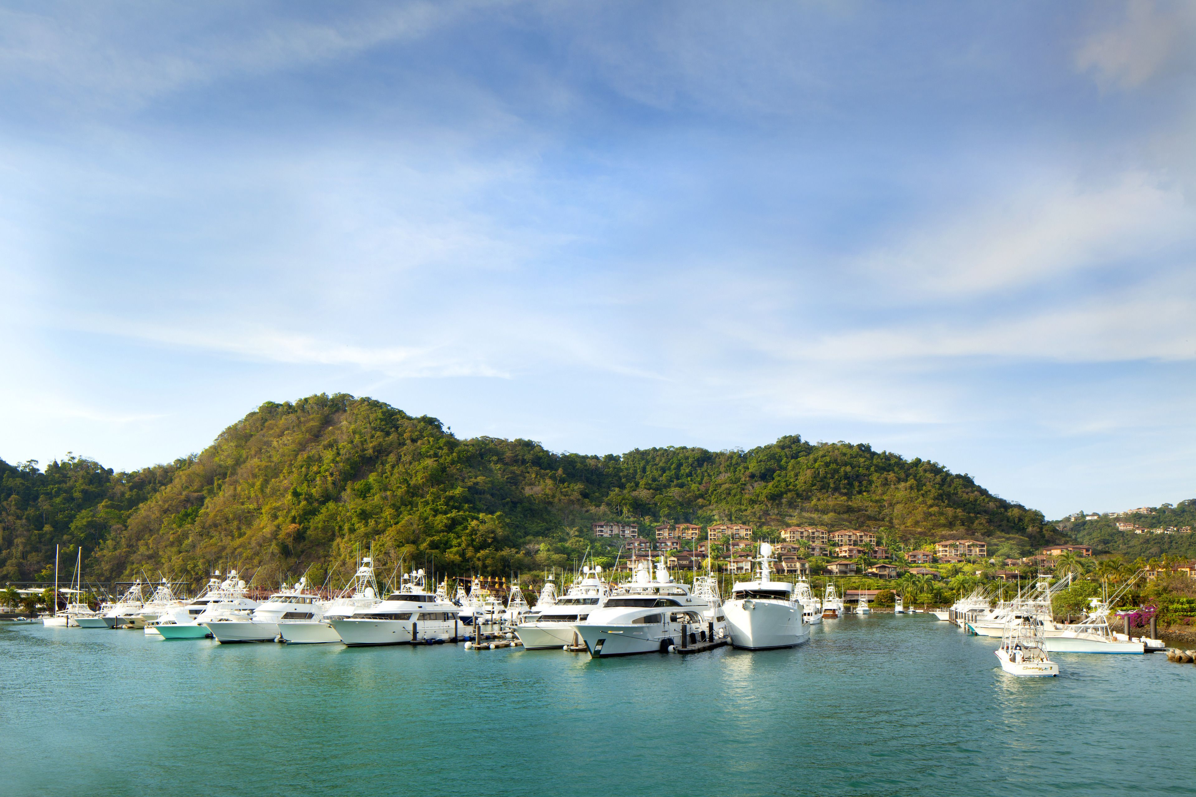 Ein Yachthafen mit mehreren festgemachten Yachten, umgeben von hügeliger Landschaft und Wohngebäuden.