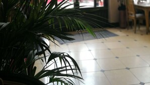 A room with a large potted plant in the foreground, a tiled floor, and a window with a view of the outside. - Hotel de la Treille (Lille)