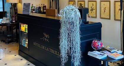 Hotel de la Treille