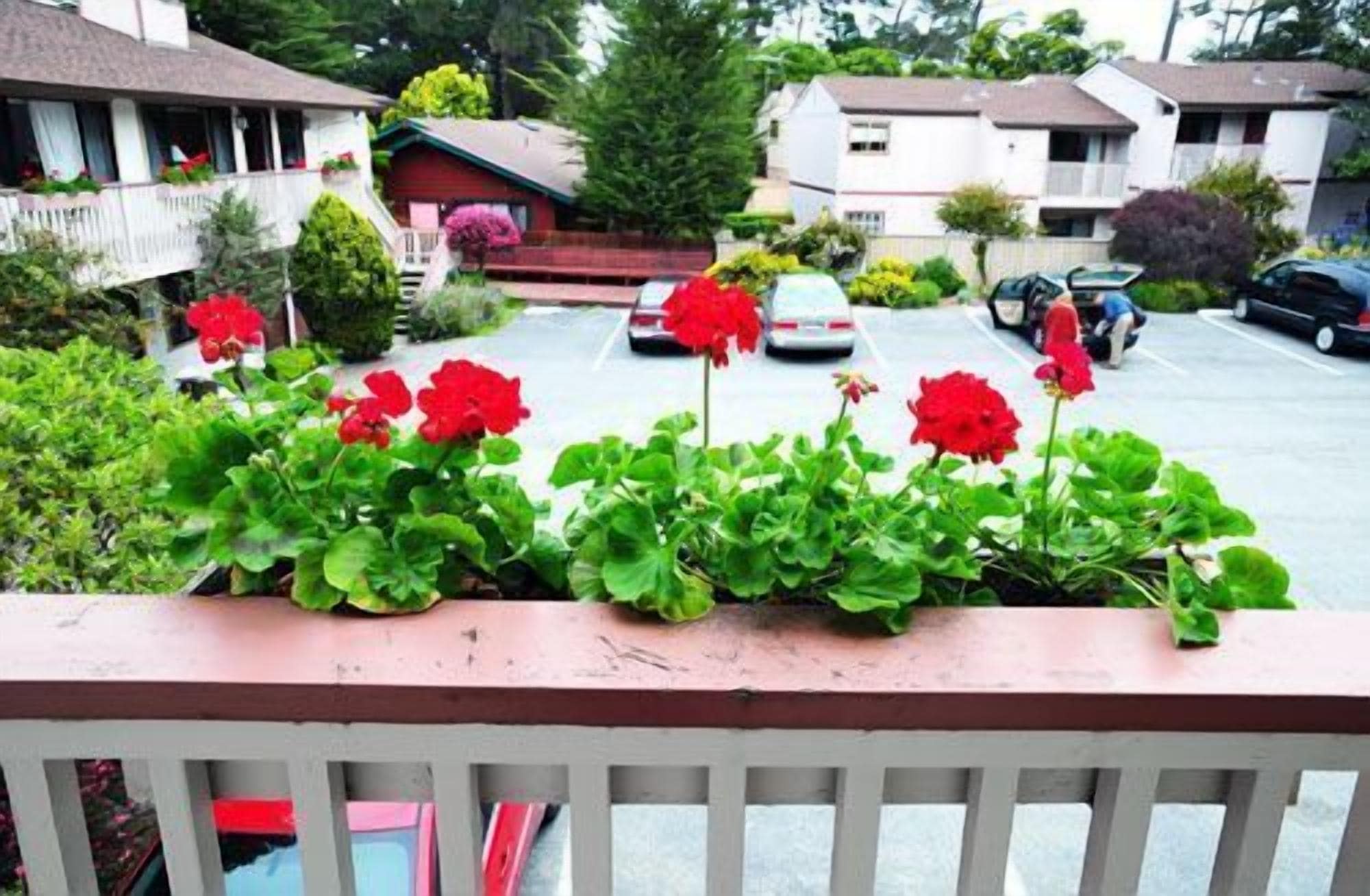Um bairro residencial com casas, um estacionamento e flores vermelhas em primeiro plano.