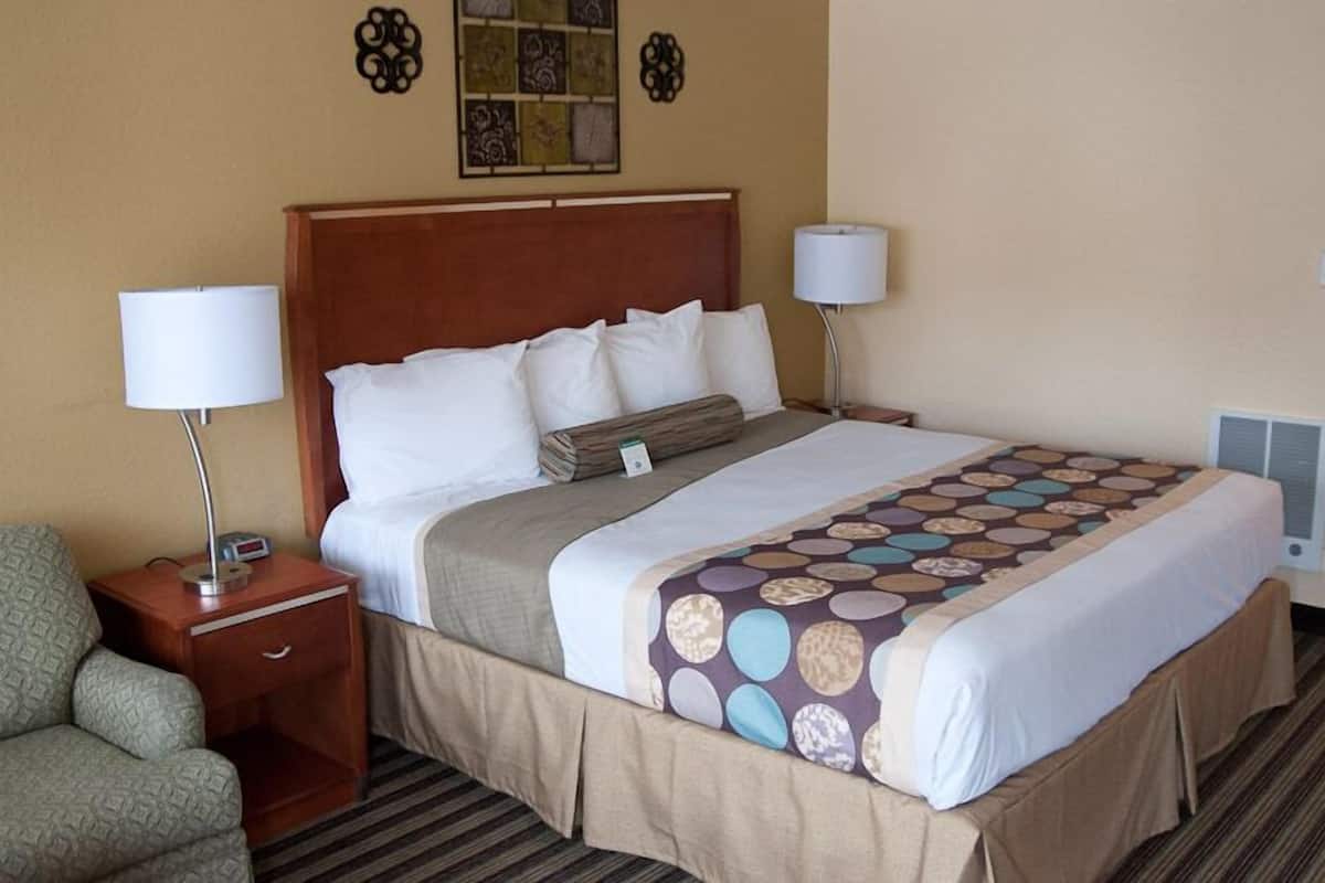 Standard Room, 1 King Bed, Fireplace | Pillowtop beds, desk, iron/ironing board, free WiFi