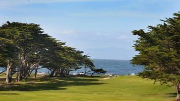 Vista a la playa o el mar