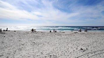 Vlak bij het strand