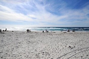 A sandy beach with footprints and people walking.