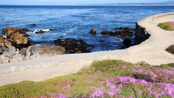 Playa en los alrededores