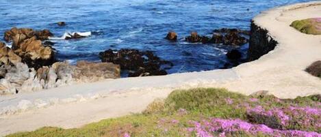 A coastal landscape with rocky shores, sandy beach, and wildflowers.