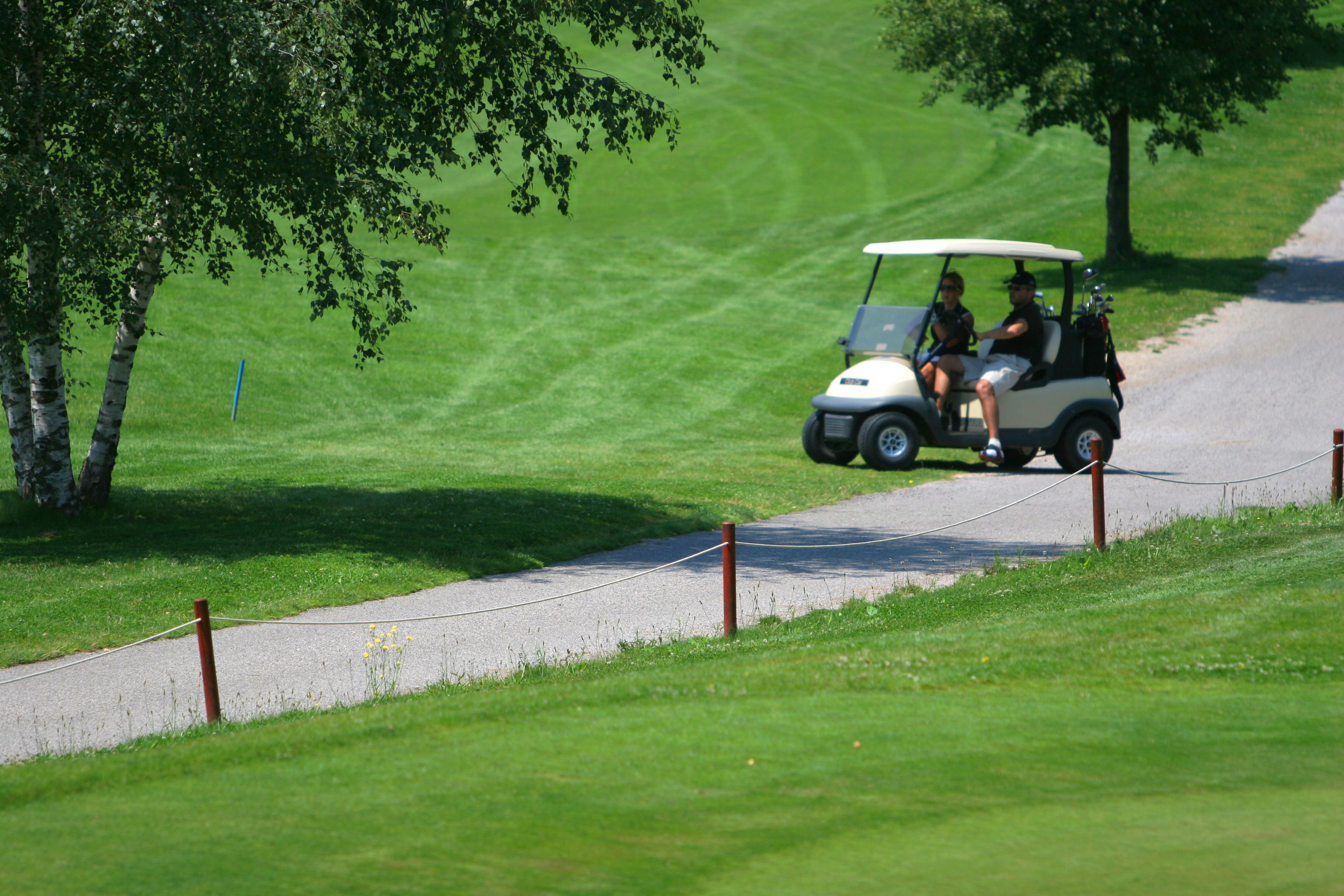 Golf-auton ajoreitti on päällystetty, ja sen molemmilla puolilla on nurmikkoa. Reittiä reunustavat puut.