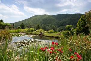 Paisagem tranquila com um lago, vegetação exuberante e uma montanha ao fundo.