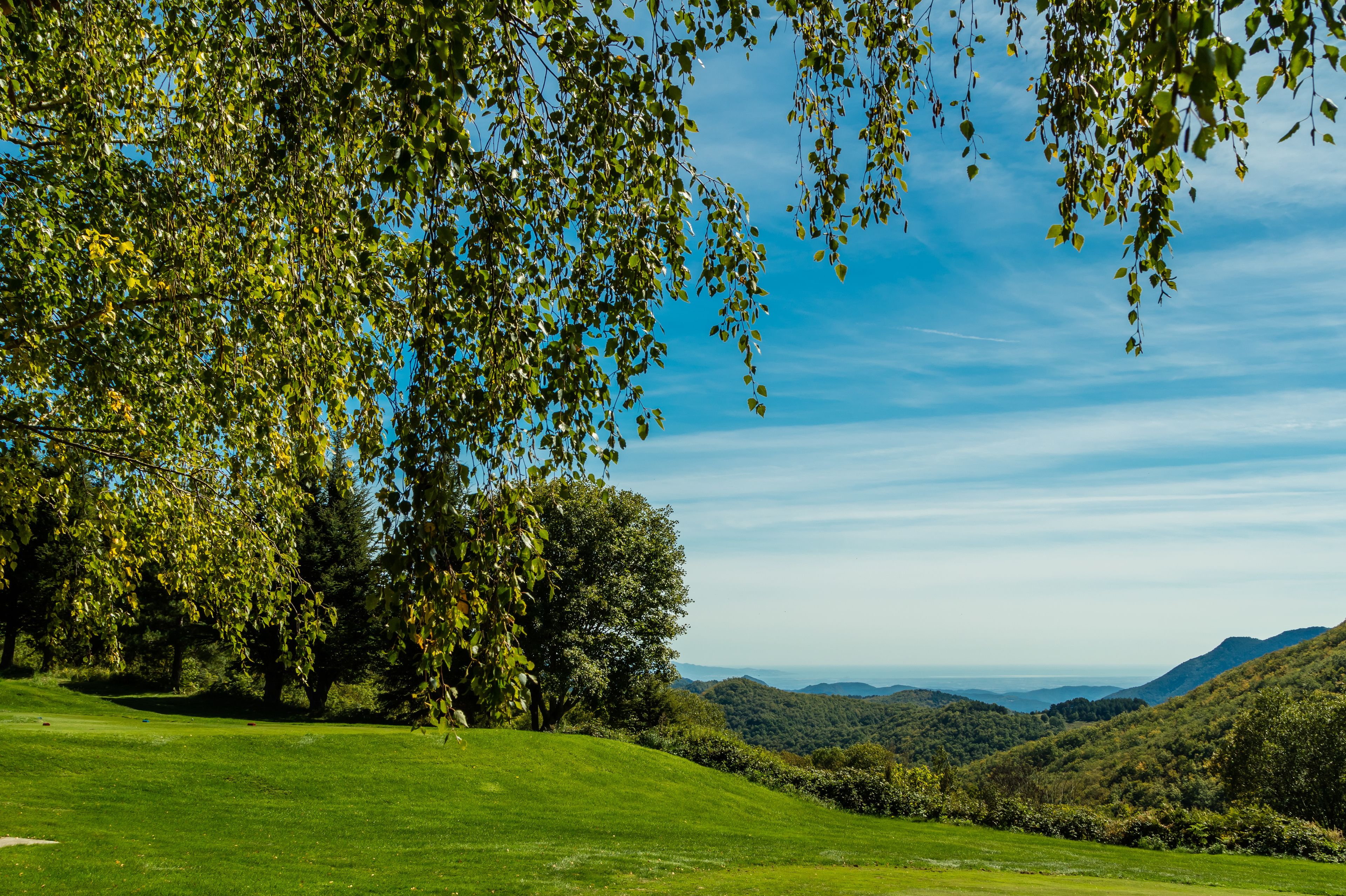 Un paisaje verde exuberante con cielo despejado y colinas lejanas.