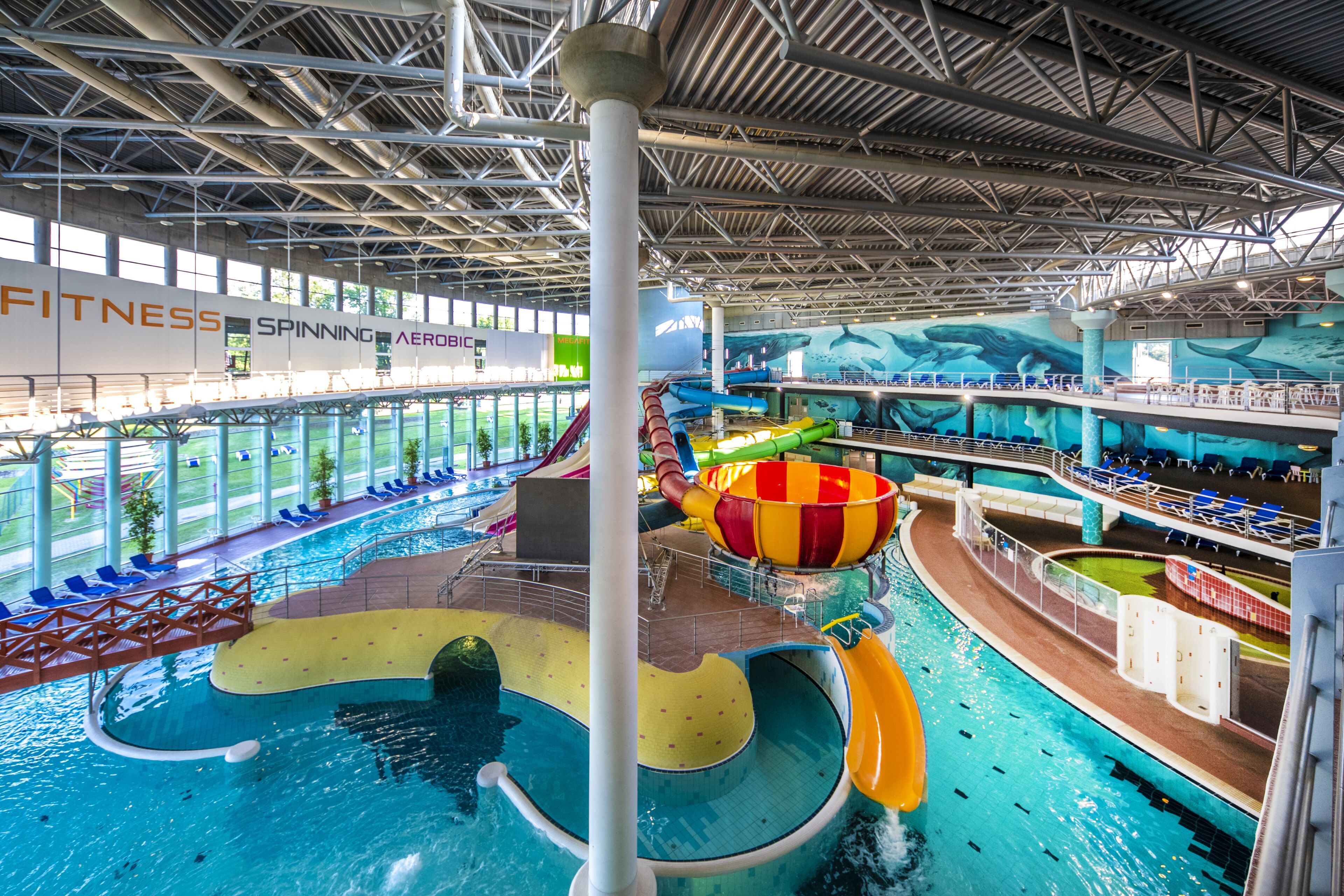 Um parque aquático interno com uma piscina grande, toboáguas e um mural de golfinhos.