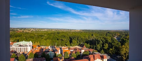 Superior Double Room | View from room
