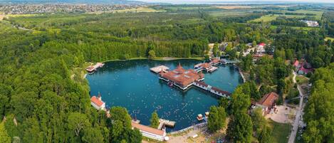 An aerial view of a lakeside resort with a central pier, docked boats, and surrounding greenery.