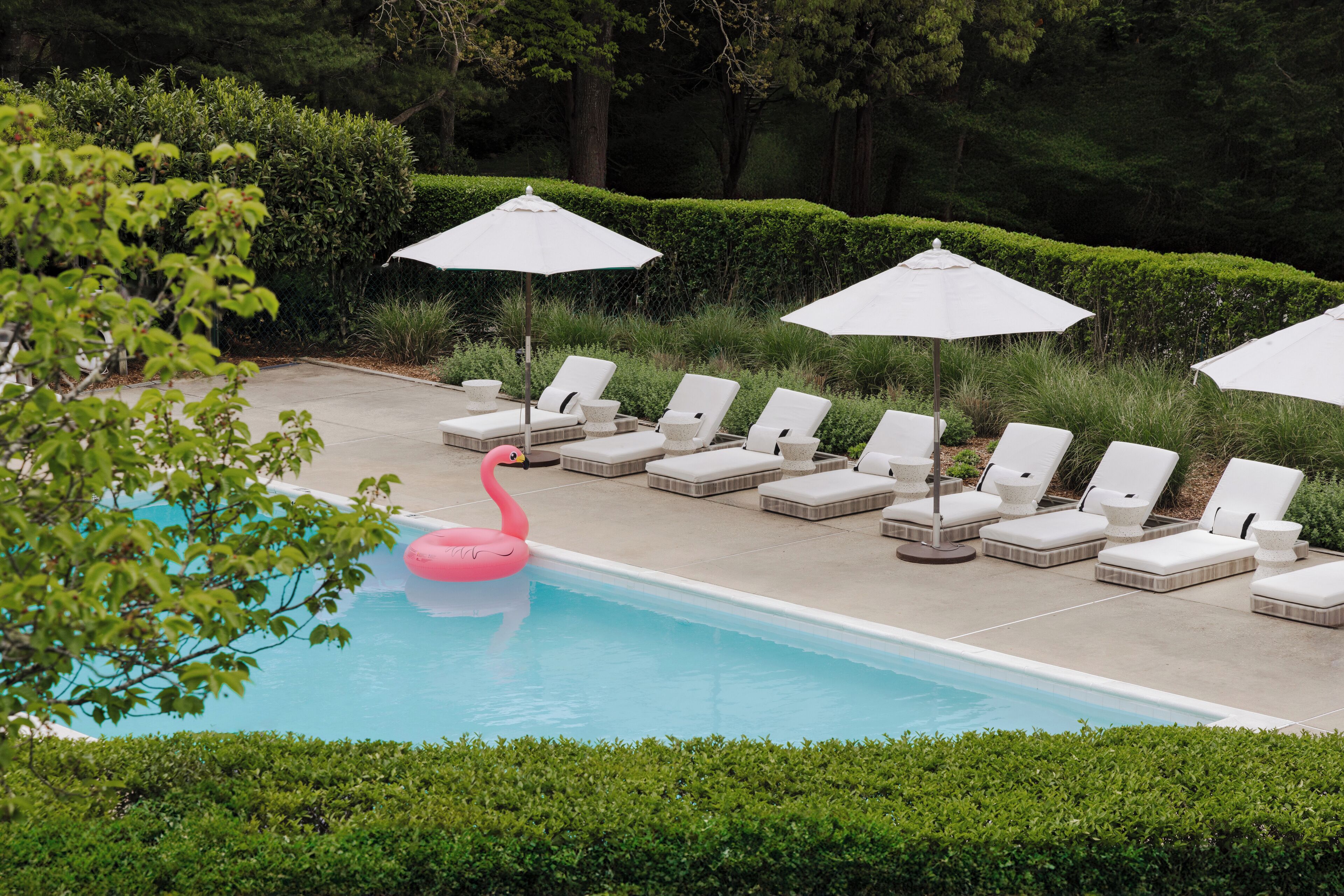 A pool area with lounge chairs and umbrellas, surrounded by neatly trimmed hedges.