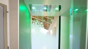 Douche de la salle de bain