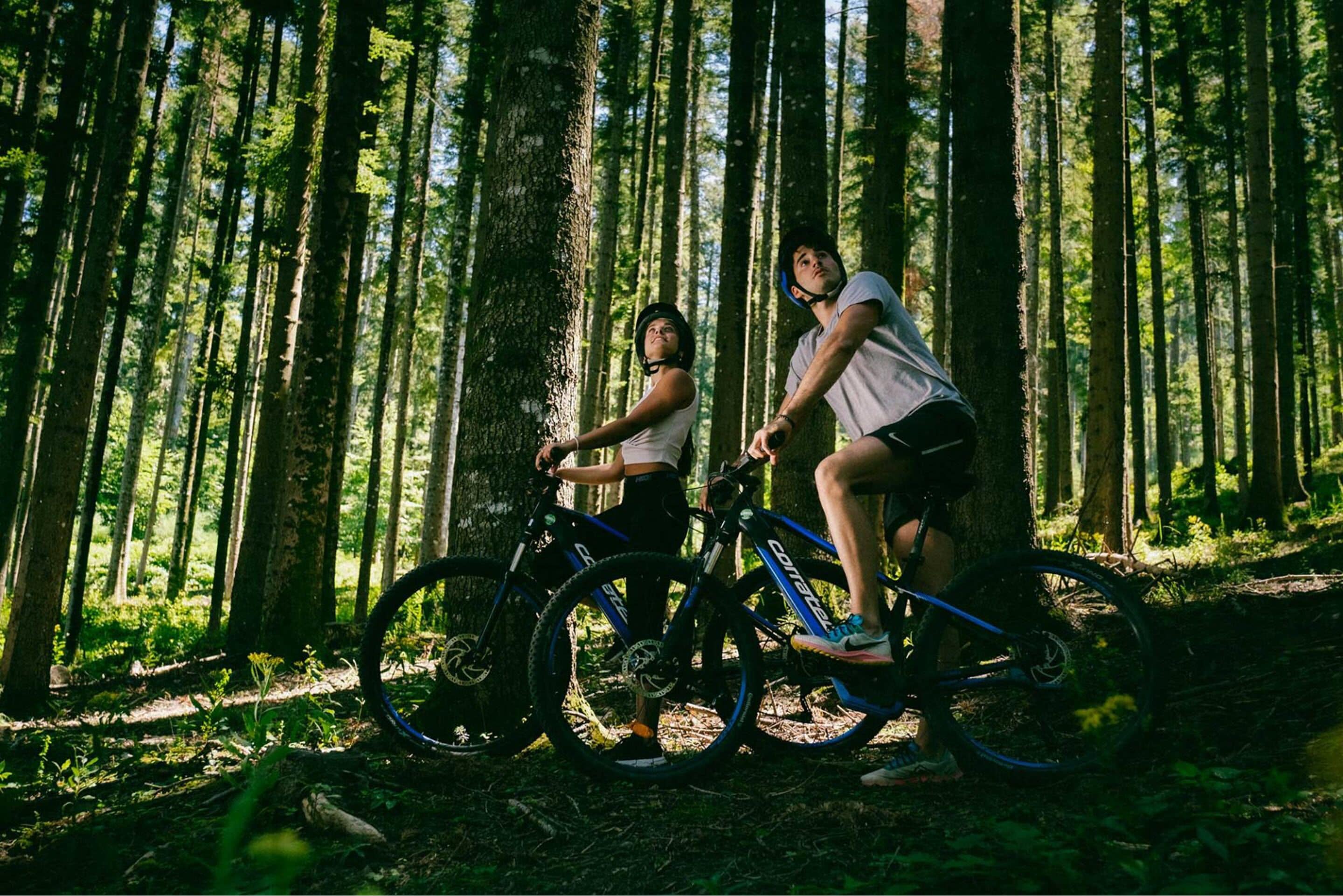 Dos personas en bicicleta en un área boscosa.