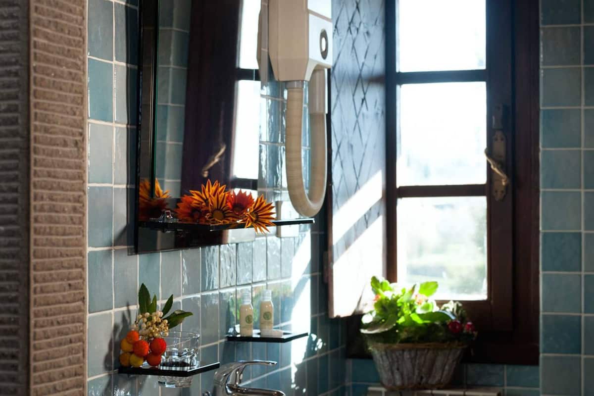 combined shower/bathtub, hair dryer, bidet, towels