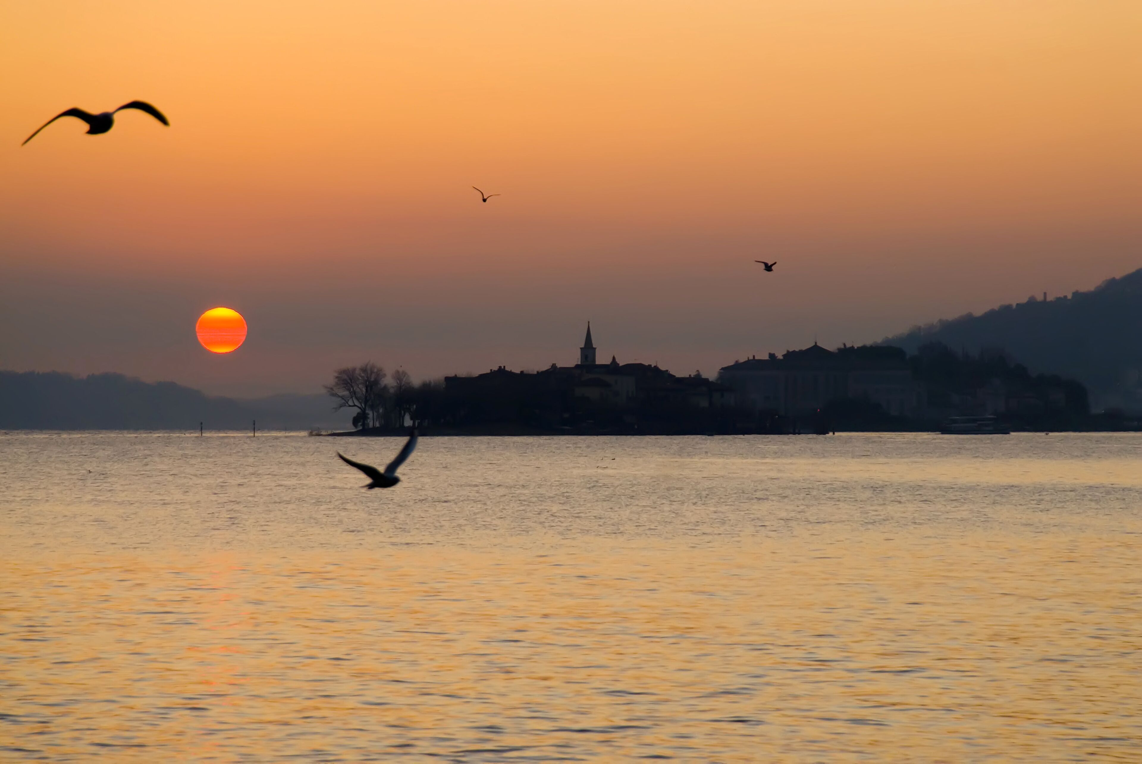 A sunset over a body of water with a silhouette of buildings and a bird in flight.