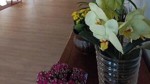 Ảnh chưa phân loại, 2 trong số 55 ảnh, nút