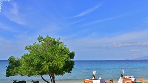 Une plage avec une table à manger installée sous un arbre, un ciel dégagé et la mer en arrière-plan.