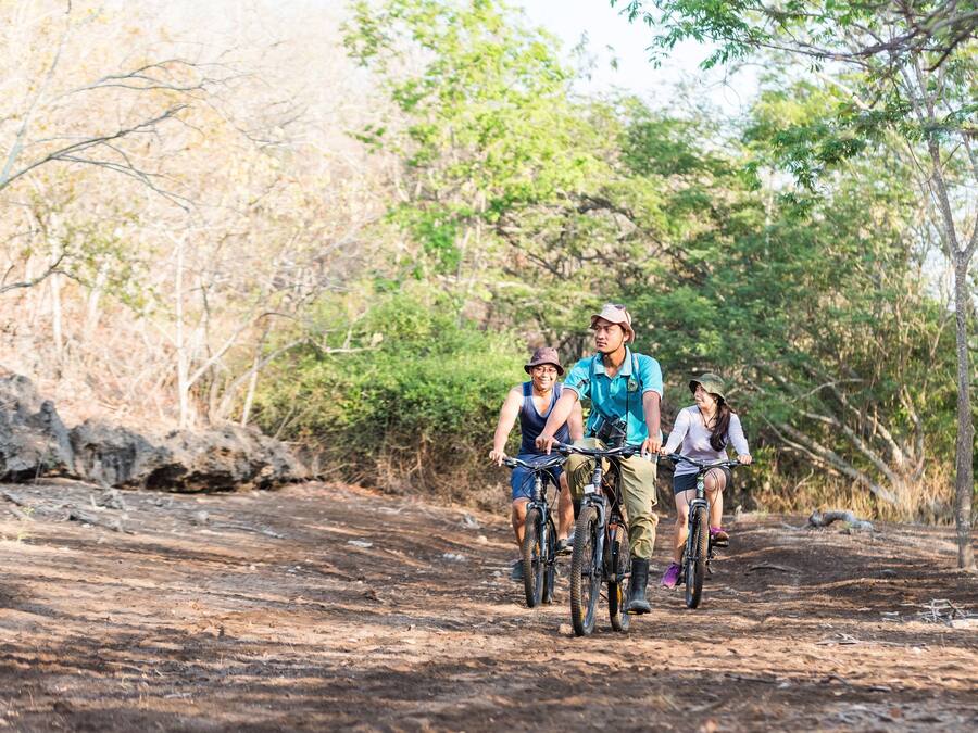 Un grupo de personas montando bicicletas por un sendero de tierra rodeado de árboles.
