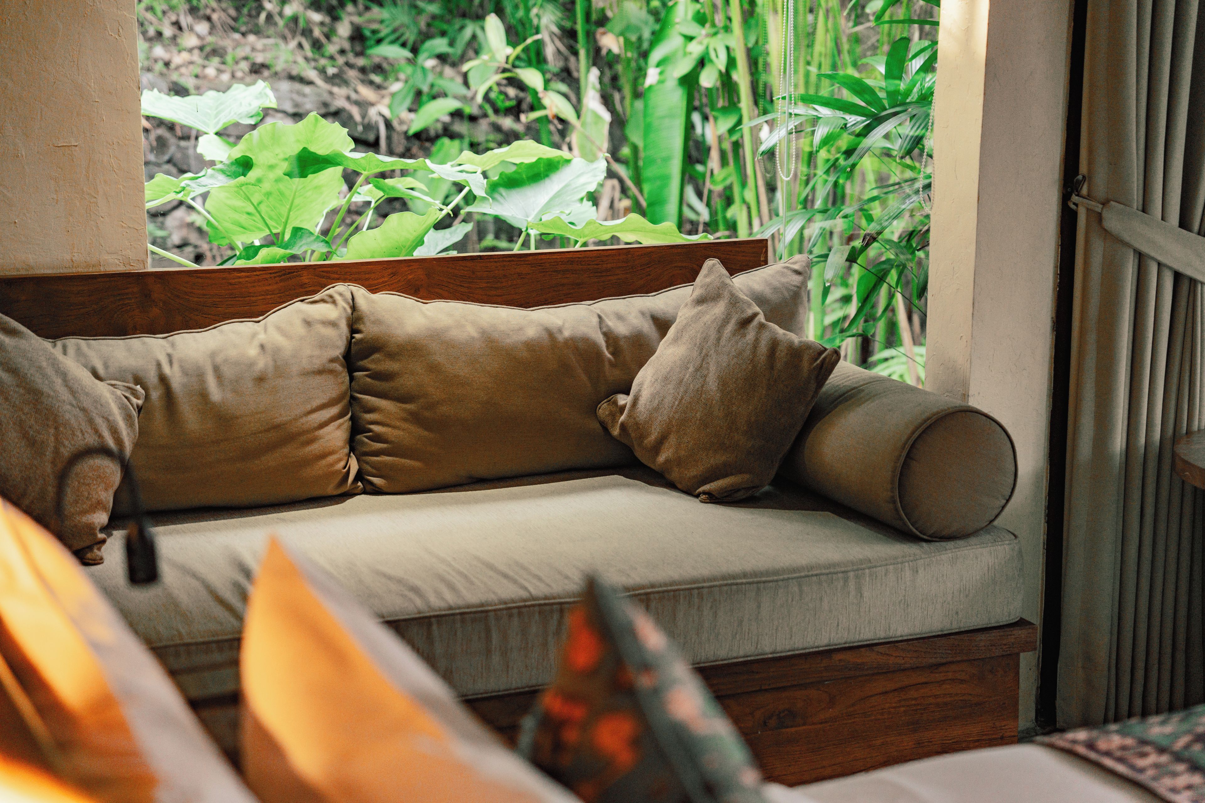 A sofa with cushions, positioned near a window with a view of greenery.