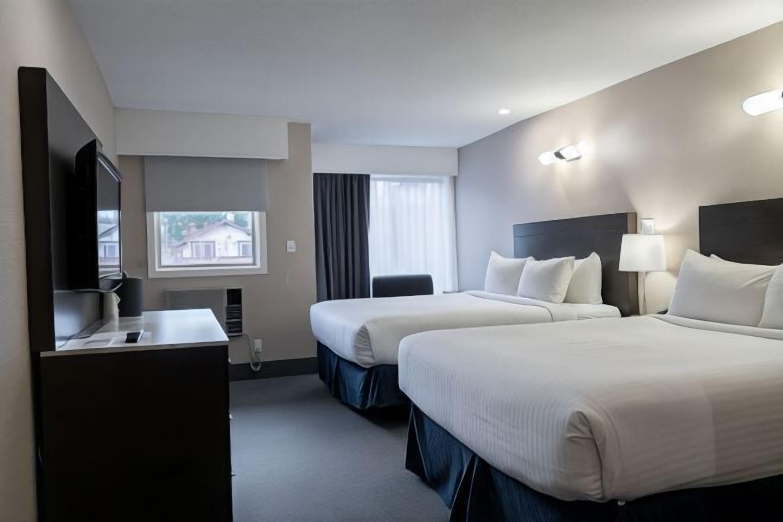 Ropa de cama hipoalergénica, wifi gratis, ropa de cama