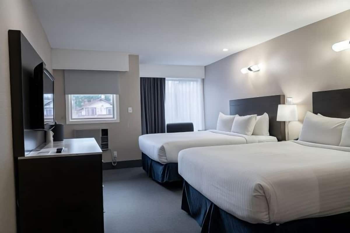 2 quartos, roupas de cama antialérgicas, Wi-Fi de cortesia