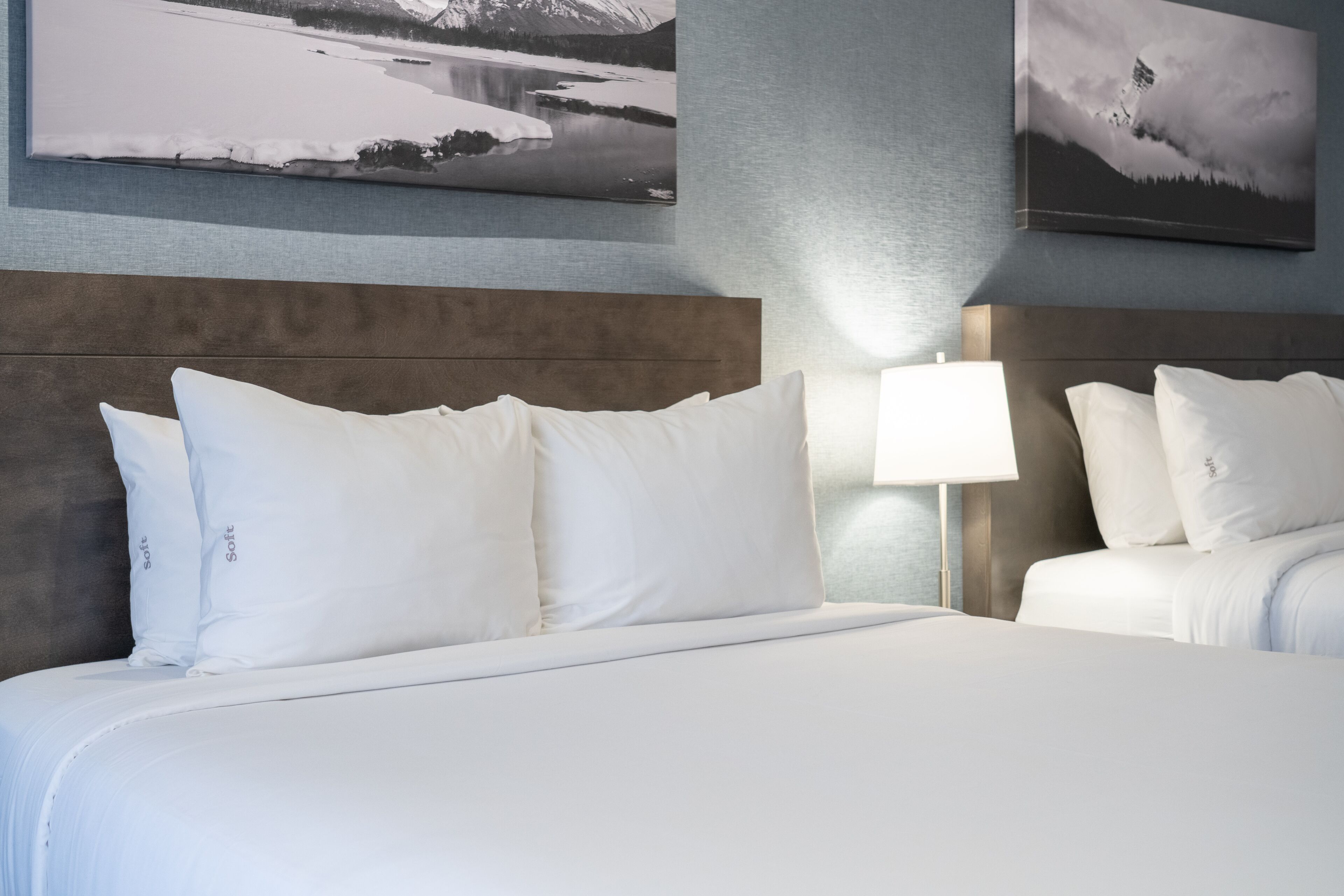 Foto - Red Carpet Inn