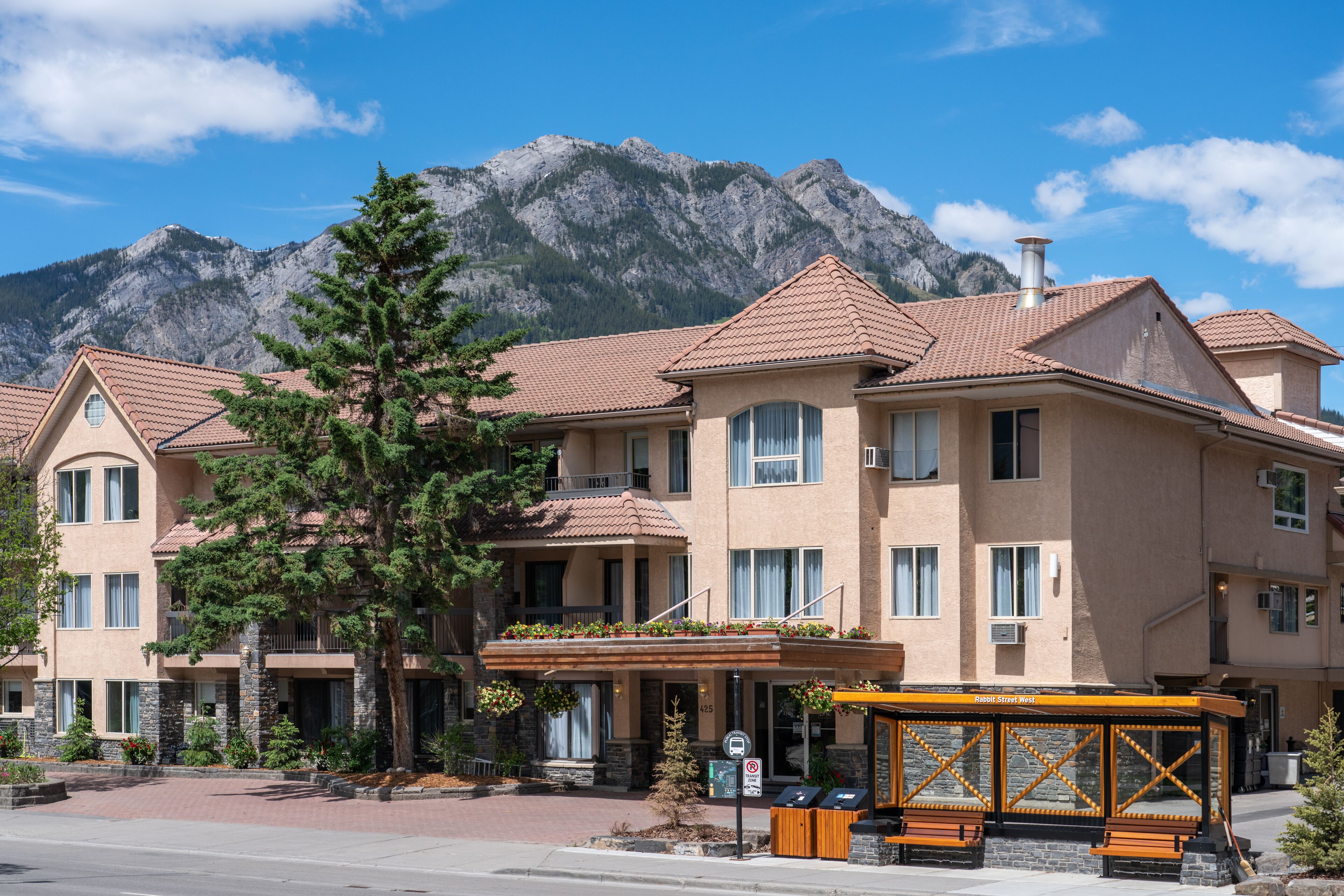 Foto - Red Carpet Inn