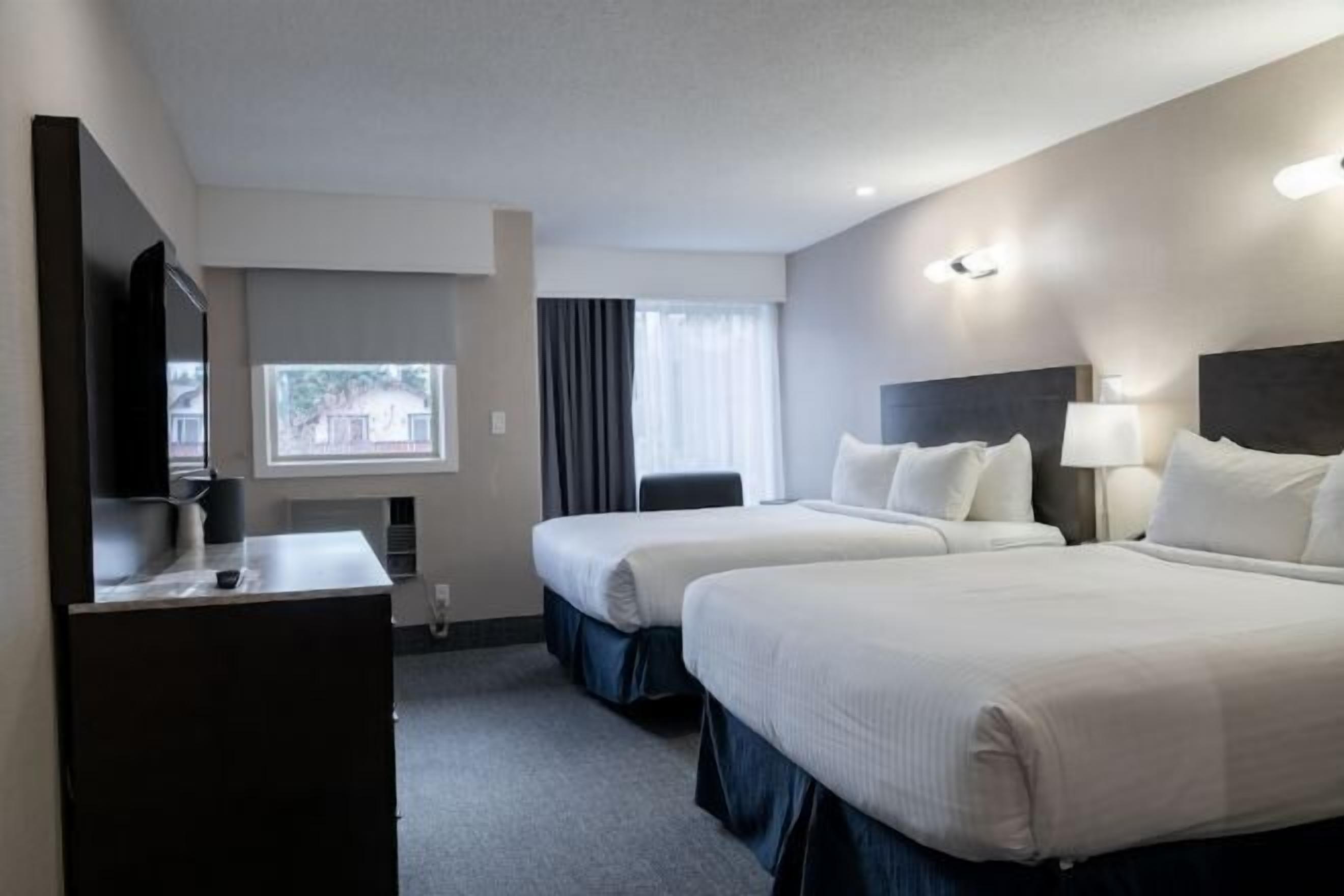 Ropa de cama hipoalergénica, wifi gratis, ropa de cama