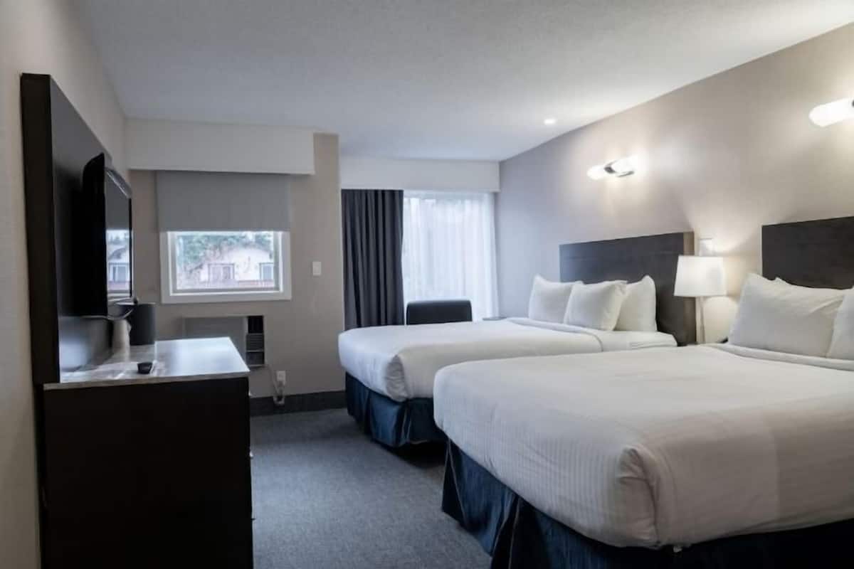 2 quartos, roupas de cama antialérgicas, Wi-Fi de cortesia