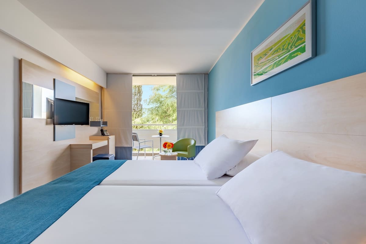 superior room for 2- hotel | view from room