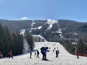 滑雪运动